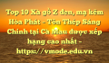 Top 10 Xà gồ Z đen, mạ kẽm Hòa Phát  – Tôn Thép Sáng Chinh tại Cà Mau  được xếp hạng cao nhất – https://vmode.edu.vn