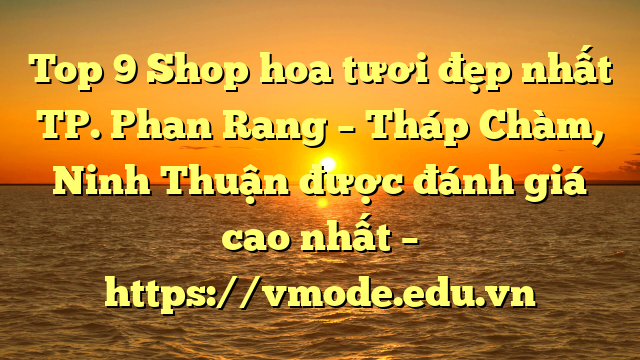 Top 9 Shop hoa tươi đẹp nhất TP. Phan Rang – Tháp Chàm, Ninh Thuận được đánh giá cao nhất – https://vmode.edu.vn