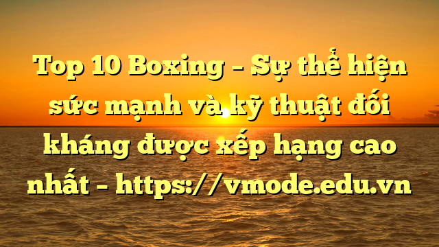 Top 10 Boxing – Sự thể hiện sức mạnh và kỹ thuật đối kháng được xếp hạng cao nhất – https://vmode.edu.vn