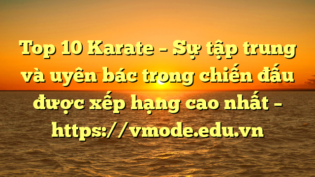 Top 10 Karate – Sự tập trung và uyên bác trong chiến đấu được xếp hạng cao nhất – https://vmode.edu.vn