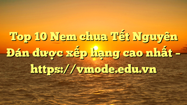 Top 10 Nem chua Tết Nguyên Đán được xếp hạng cao nhất – https://vmode.edu.vn