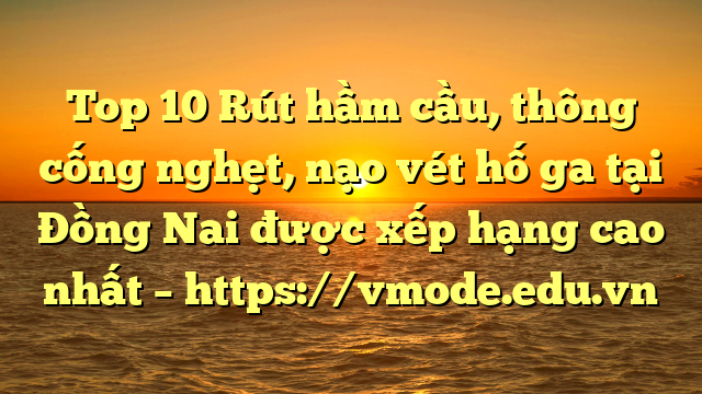 Top 10 Rút hầm cầu, thông cống nghẹt, nạo vét hố ga tại Đồng Nai được xếp hạng cao nhất – https://vmode.edu.vn