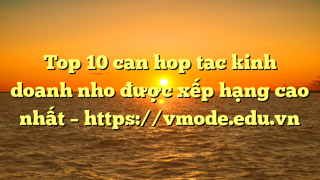 Top 10 can hop tac kinh doanh nho được xếp hạng cao nhất – https://vmode.edu.vn